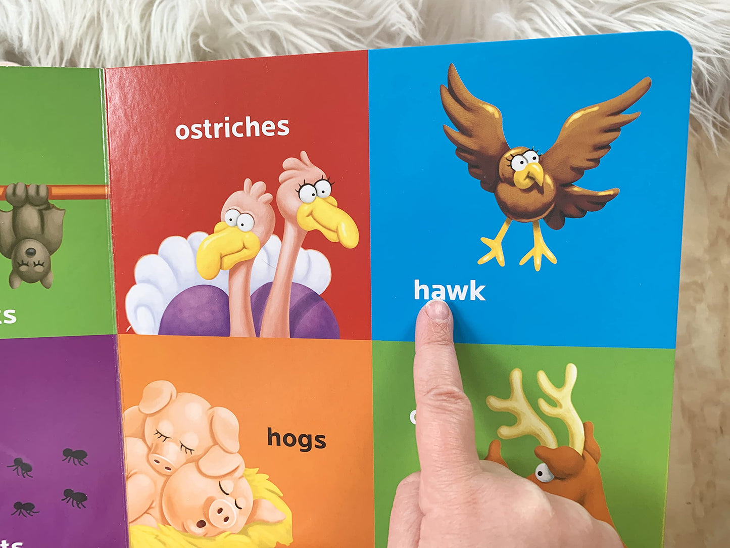 The Beginner's Bible First 100 Animal Words - Board Book