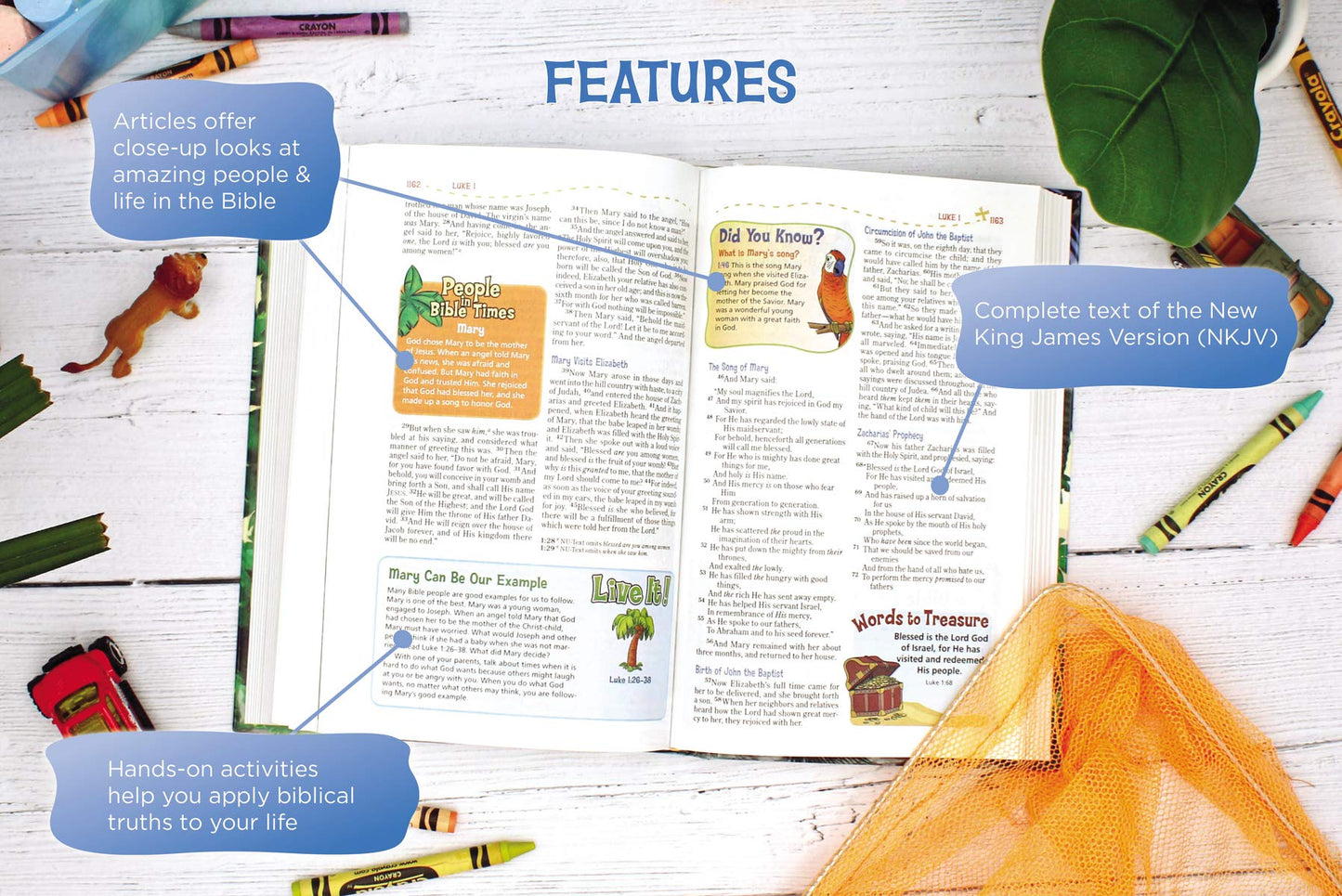 NKJV, Adventure Bible, Full Color Interior - Hardcover