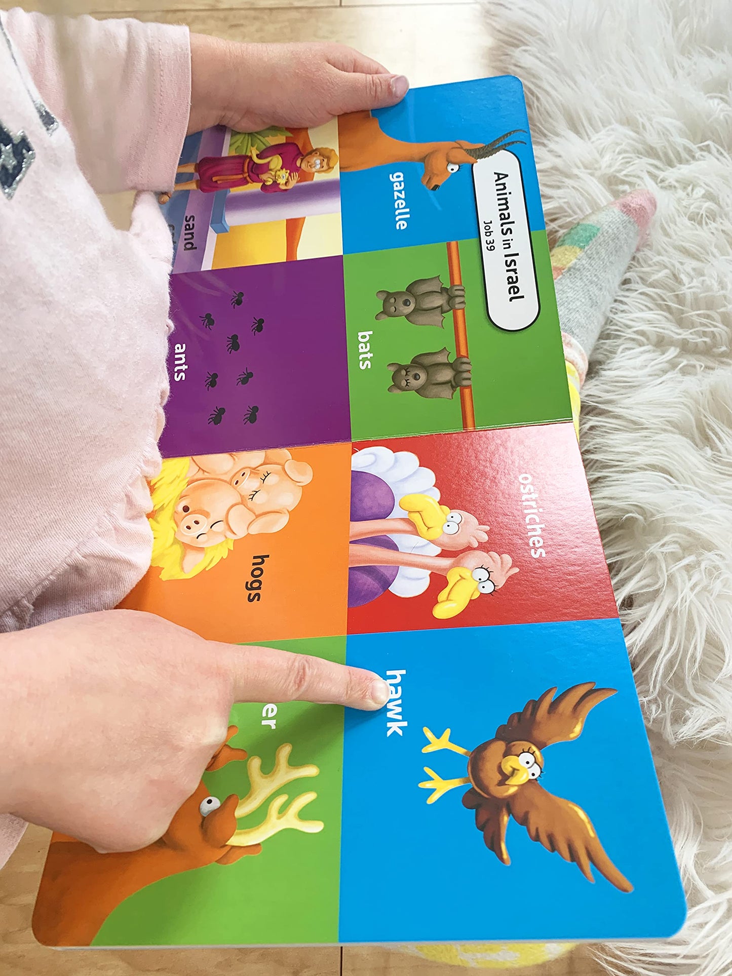 The Beginner's Bible First 100 Animal Words - Board Book