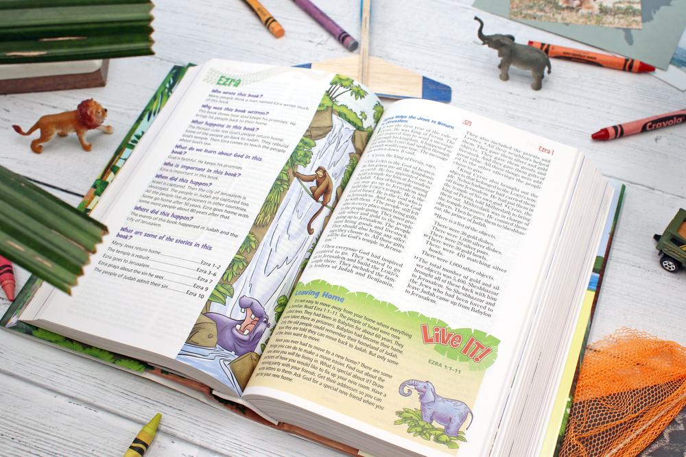 NIrV, Adventure Bible for Early Readers, Full Color Interior - Hardcover