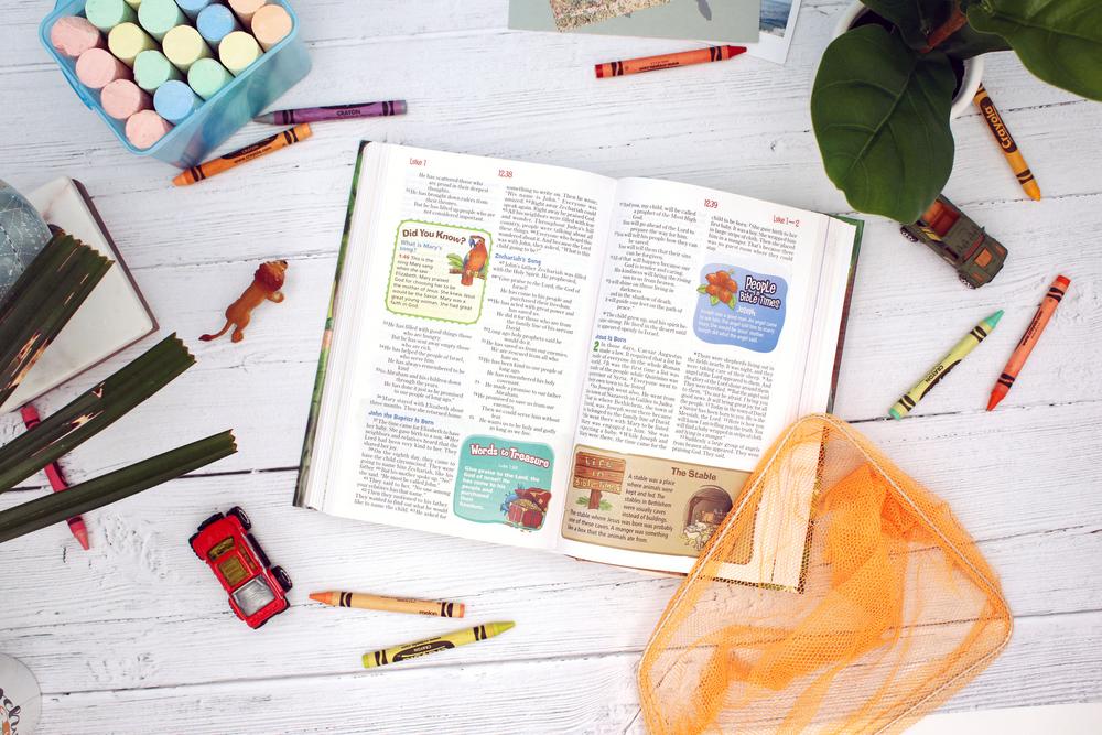 NIrV, Adventure Bible for Early Readers, Full Color Interior - Hardcover