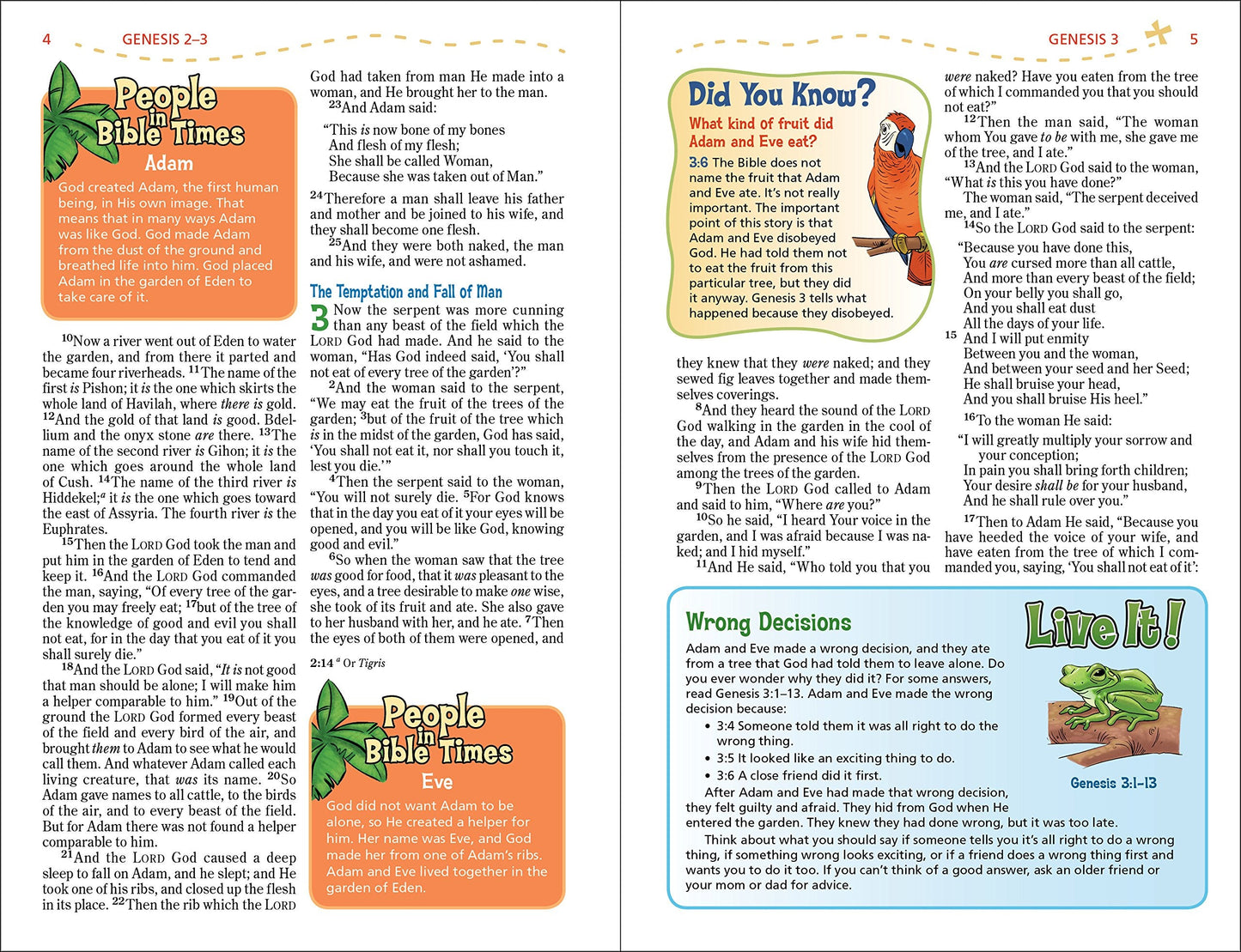 NKJV, Adventure Bible, Full Color Interior - Hardcover