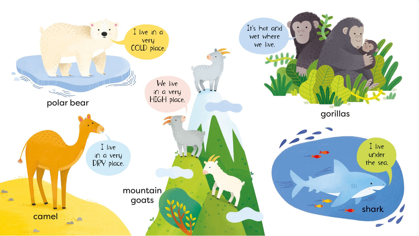 First Animals Book