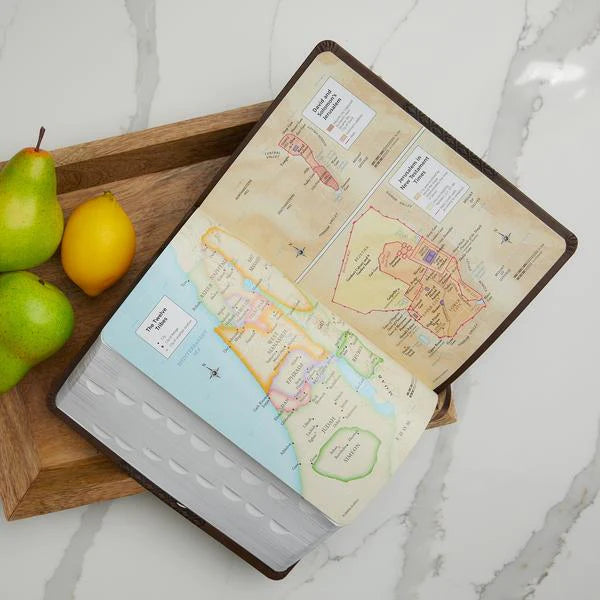 KJV Study Bible, Large Print, Red Letter Edition: Second Edition - Leathersoft™ - Thumb Index