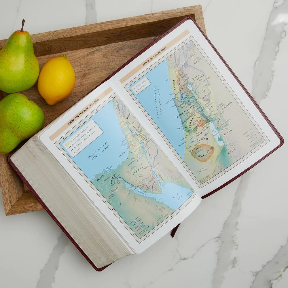 KJV Study Bible, Large Print, Red Letter Edition: Second Edition - Bonded Leather Large Print