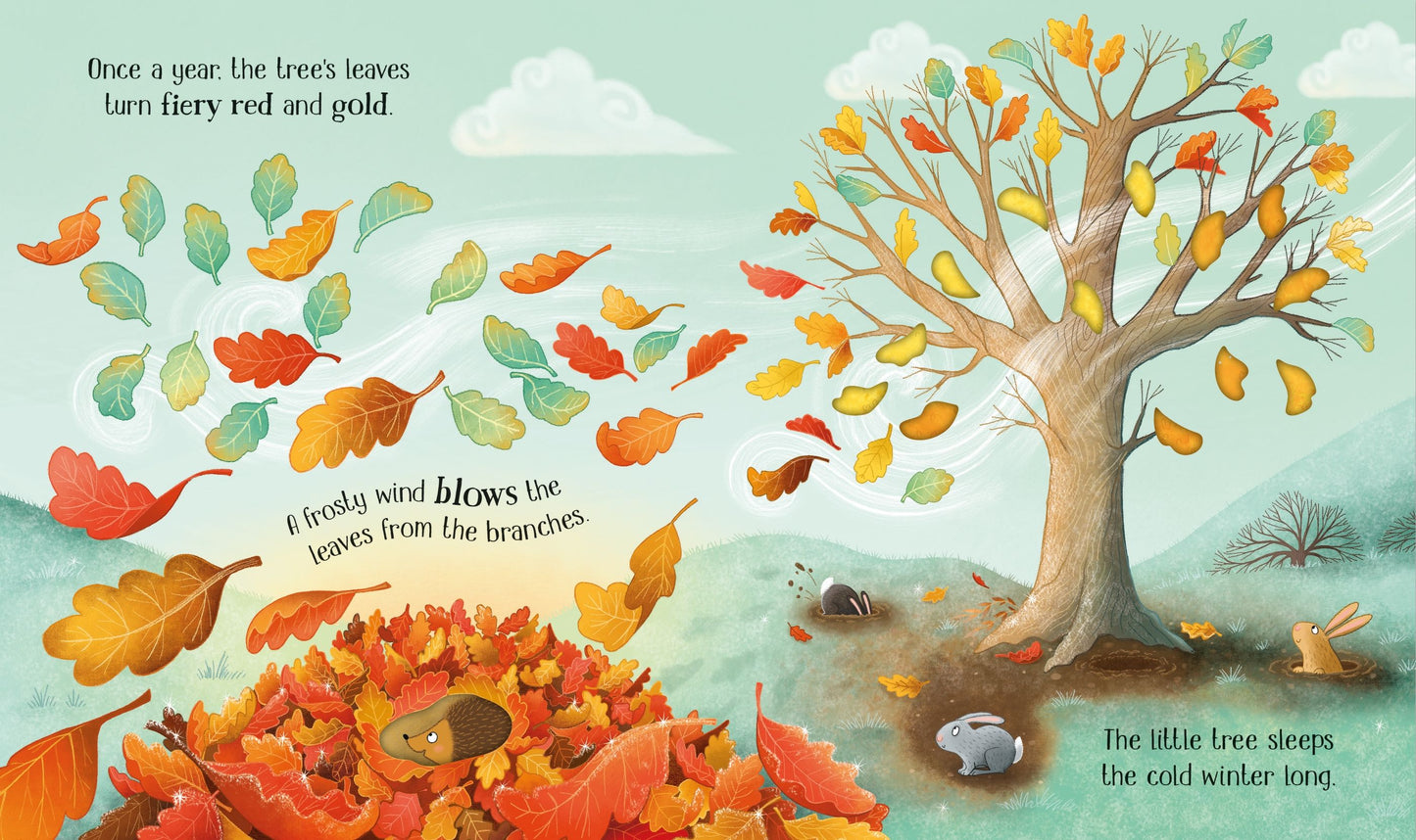 One Little Tree - Usborne Life Cycles Series - The Life Cycle of an Oak Tree