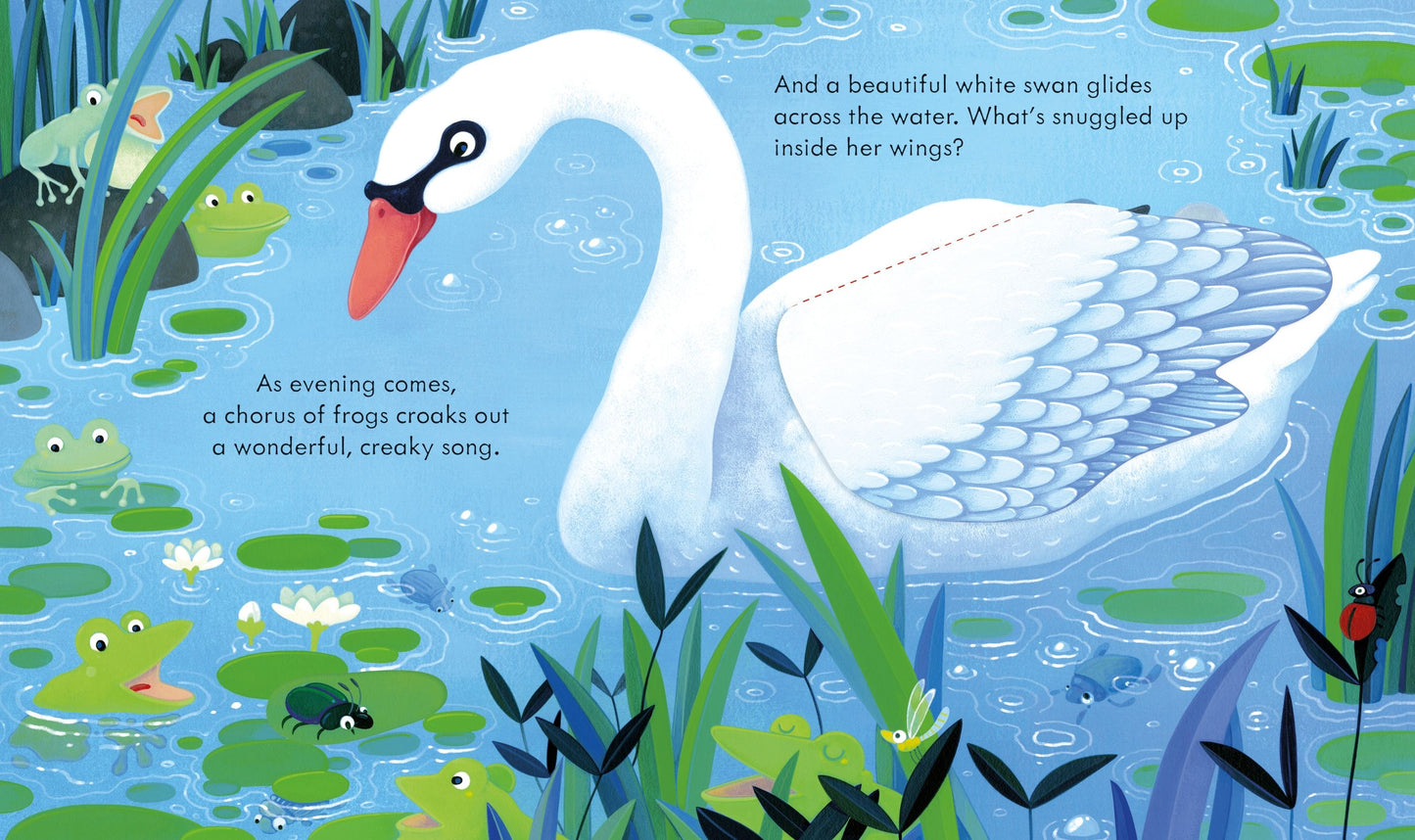 Peep Inside the Pond