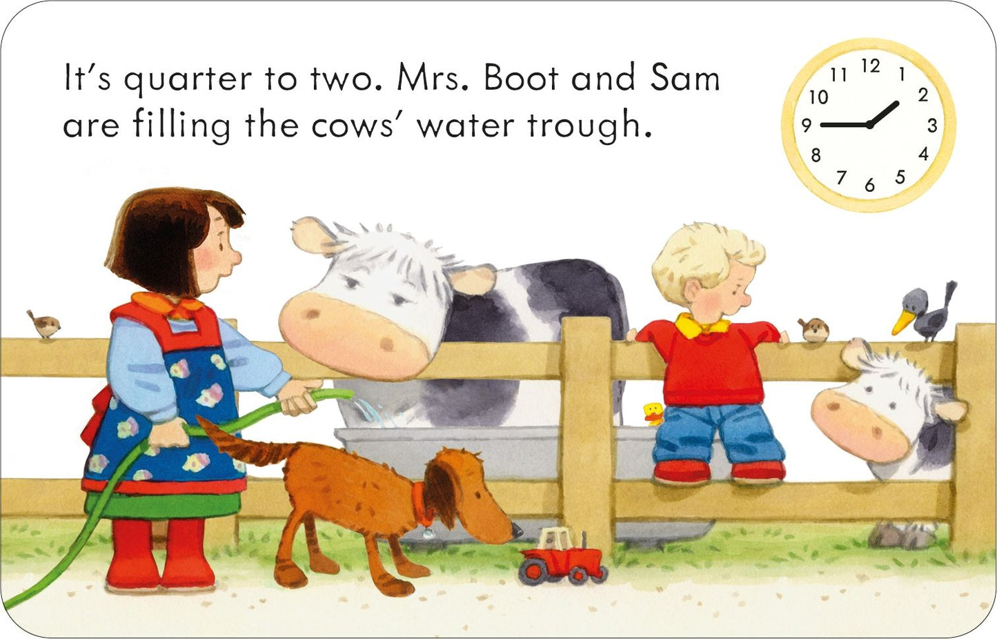 Poppy and Sam's Telling the Time Flashcards