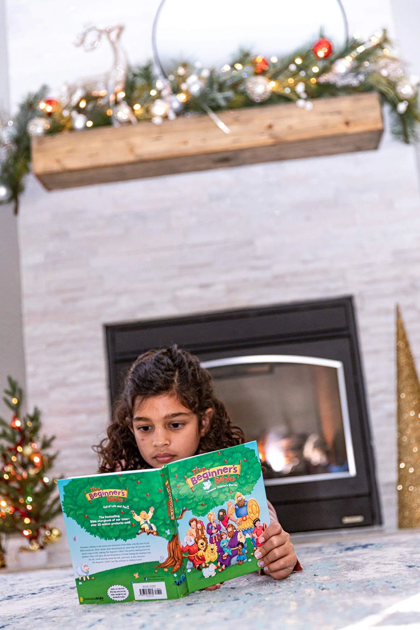 The Beginner's Bible: Timeless Children's Stories