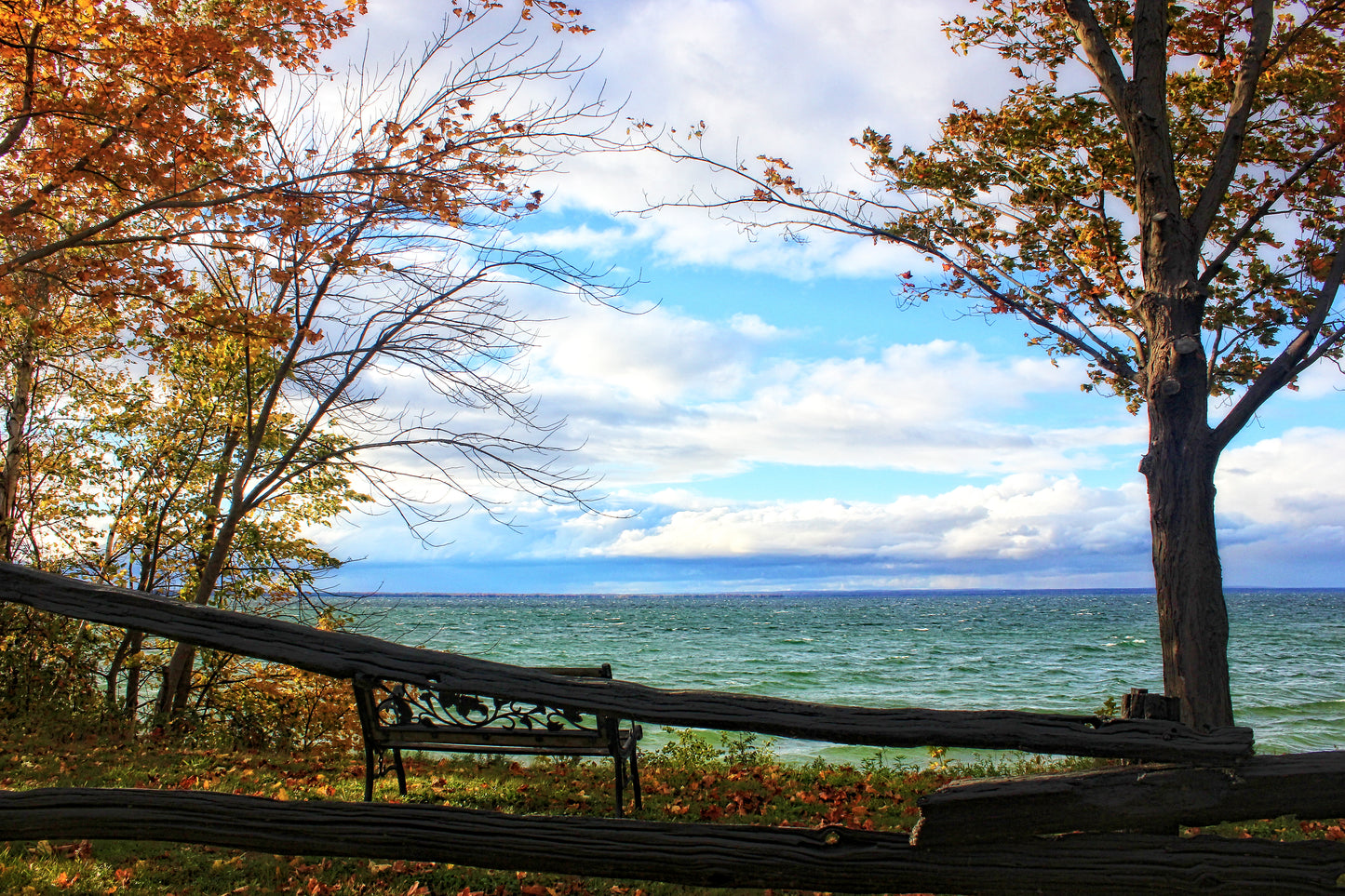 Stop & Stay A While - Art Print