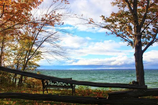 Stop & Stay A While - Art Print