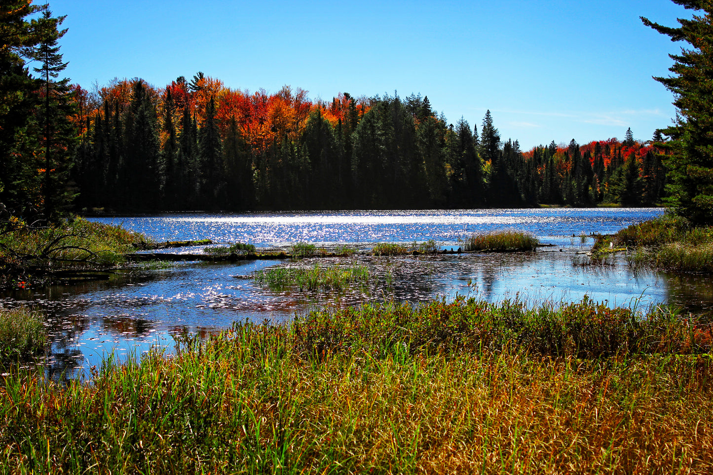 A Lake Of Diamonds - Art Print