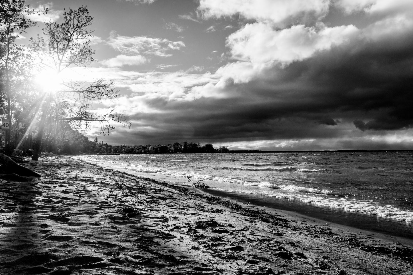 Lake Simcoe Black & White - Art Print