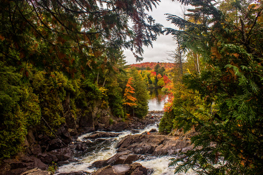 The Journey - Art Print