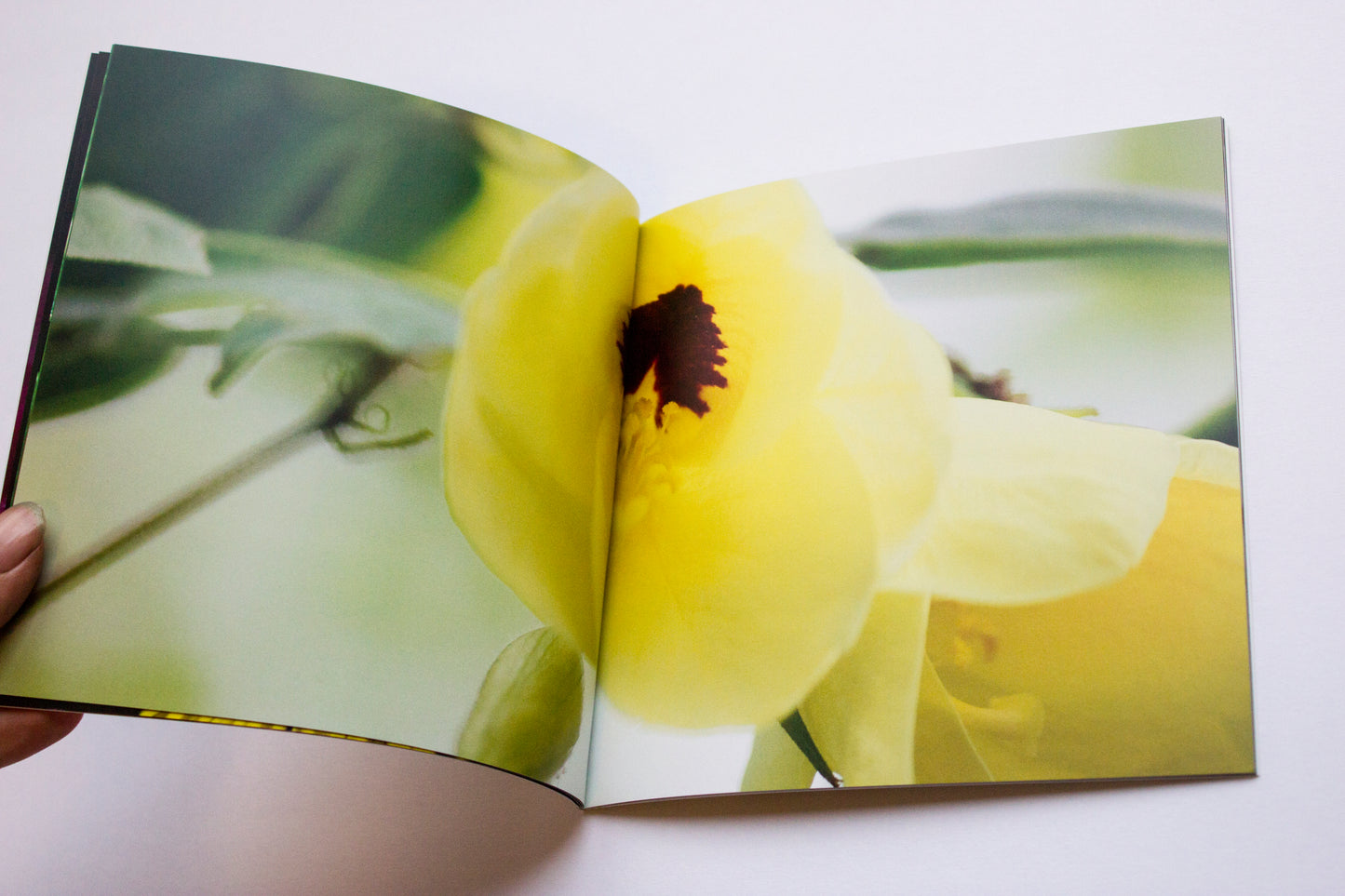Flower Book