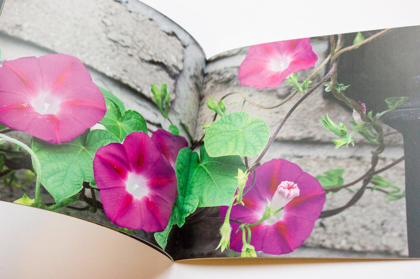 Flower Book