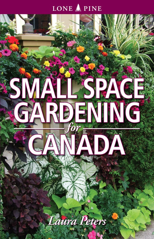 Small Space Gardening for Canada