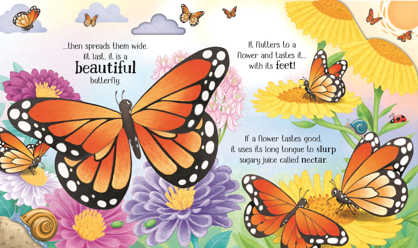 One Little Butterfly - The Life Cycle of a Monarch Butterfly