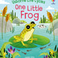 One Little Frog - Usborne Life Cycles Series