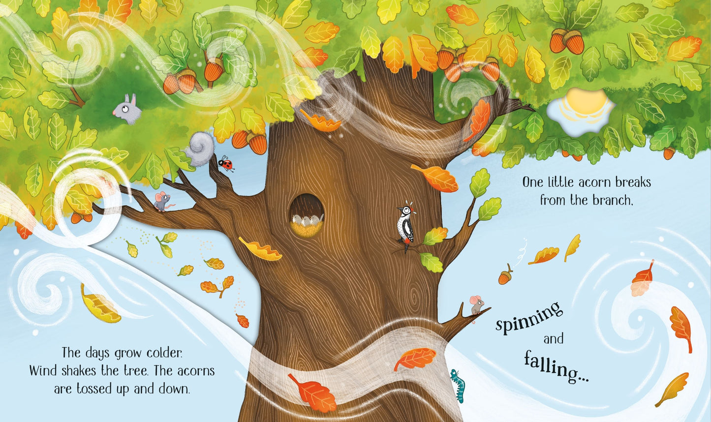 One Little Tree - Usborne Life Cycles Series - The Life Cycle of an Oak Tree