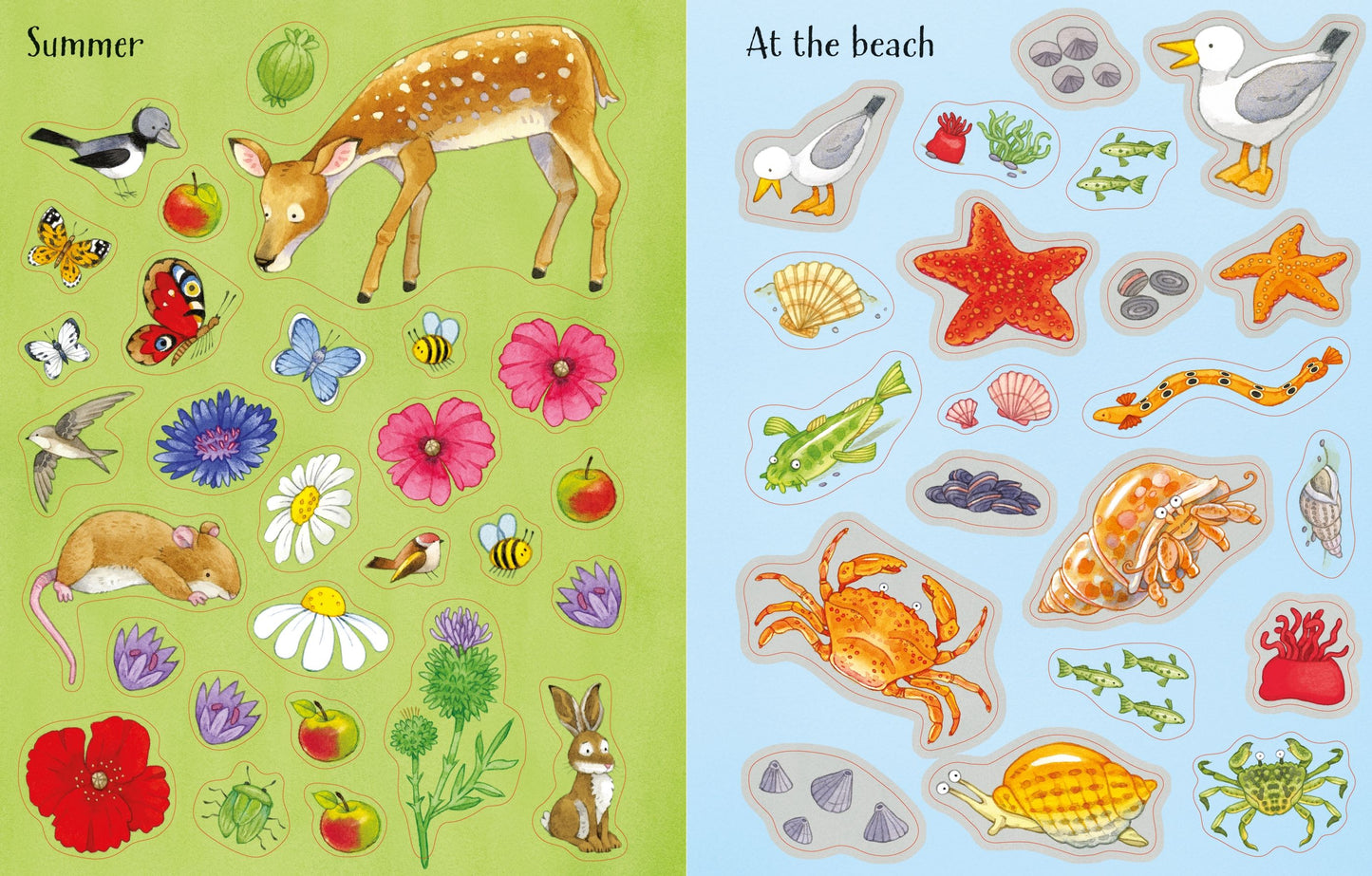 Poppy and Sam's Nature Sticker Book