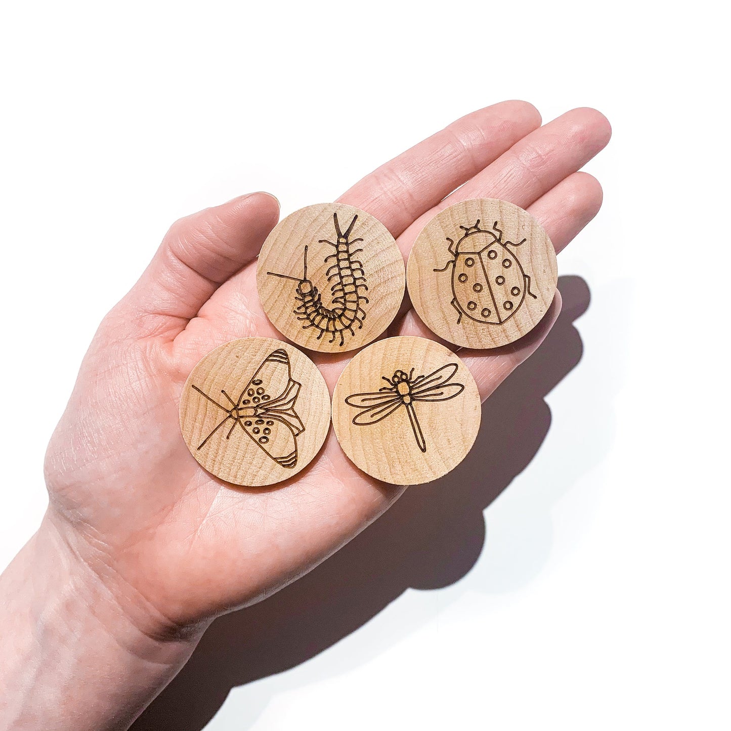 Insect Memory Matching Game