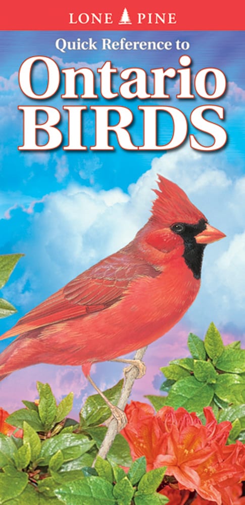 Quick Reference to Ontario Birds by Nicholle Carrière  BISAC: NAT043000  ISBN: 978-1-55105-893-1