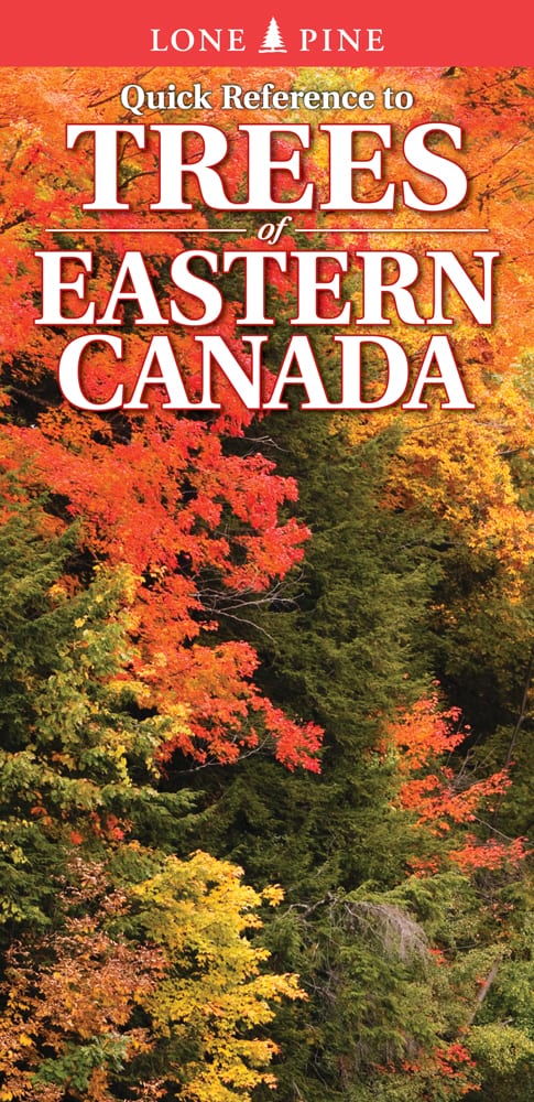 Quick Reference to Trees of Eastern Canada by Nicholle Carrière  BISAC: NAT034000  ISBN: 978-1-55105-899-3