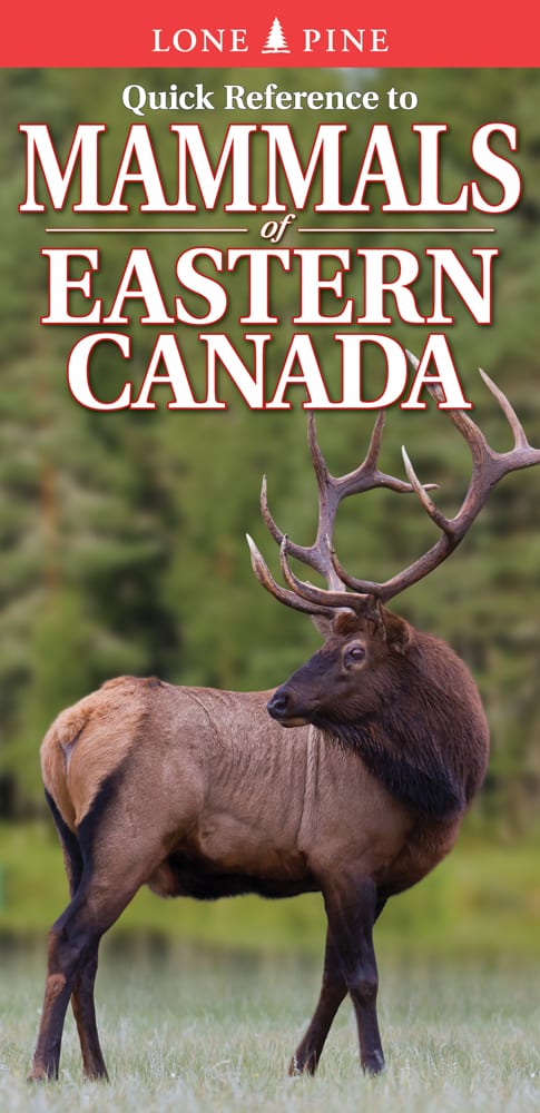 Quick Reference to Mammals of Eastern Canada by Nicholle Carrière  BISAC: NAT019000  ISBN: 978-1-55105-901-3