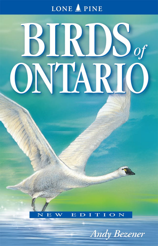 Birds of Ontario by Andy Bezener (new edition) ISBN 978-1-77213-034-8
