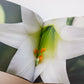 Flower Book