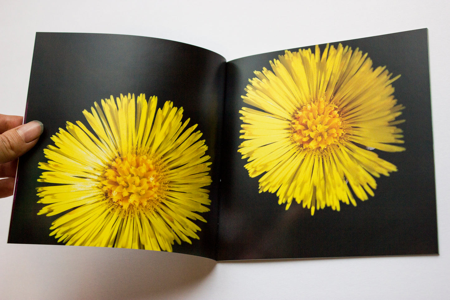 Flower Book